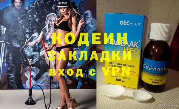 прущие грибы Анжеро-Судженск