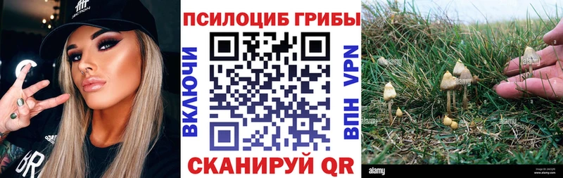 Псилоцибиновые грибы мухоморы  Гаджиево 